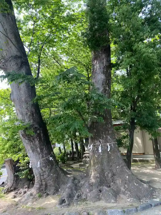 上野総社神社(群馬県)