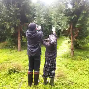 七重浜海津見神社(北海道)(2025年10月24日(金) 08時27分18秒投稿)