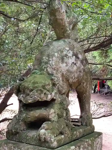 長浜神社の狛犬