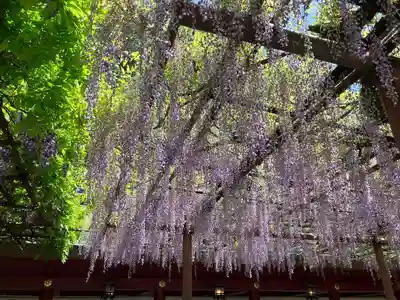 笠間稲荷神社(茨城県)