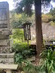 椿堂　遍照院の建物その他