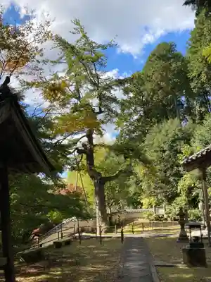 性海寺(兵庫県)