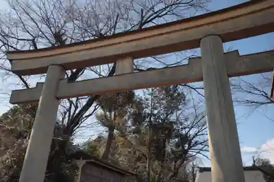 須賀神社の鳥居