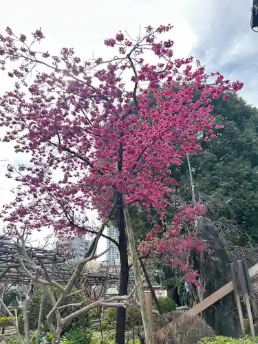 亀戸天神社(東京都)
