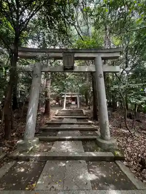 和爾下神社の{uncategorized: "未分類", other: "その他", undefined: "問題あり", building: "その他建物", grave: "お墓", sacred_gate: "鳥居", guardian: "狛犬", statue: "像", buddha: "仏像", history: "歴史", nature: "自然", garden: "庭園", animal: "動物", pagoda: "塔", temizu: "手水舎", mountain_gate: "山門・神門", sanctuary: "本殿・本堂", subordinate: "末社・摂社", art: "芸術", scenery: "景色", jizo: "地蔵", ema: "絵馬", goshuin: "御朱印", omikuji: "おみくじ", items: "授与品その他", amulet: "お守り", goshuincho: "御朱印帳", eats: "食事", festival: "お祭り", votive_dance: "神楽", shichigosan: "七五三参", wedding: "結婚式", experience: "体験その他", initially: "初詣", around: "周辺", anti_infection: "感染症対策"}