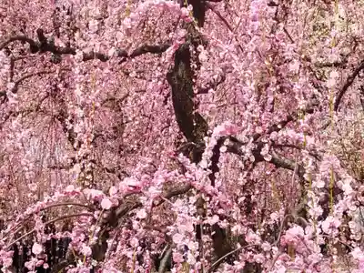 城南宮(京都府)