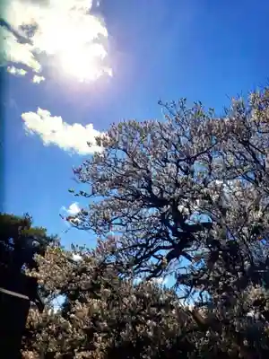 福蔵院(東京都)