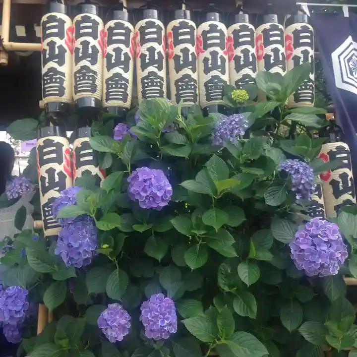 白山神社の庭園