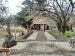 清泰寺の山門