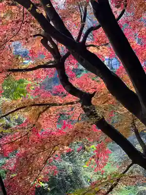 北口本宮冨士浅間神社(山梨県)