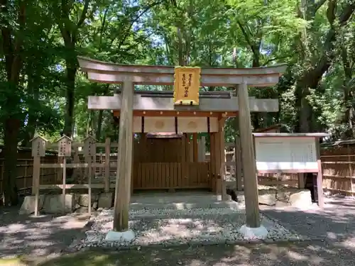 賀茂御祖神社（下鴨神社）の鳥居