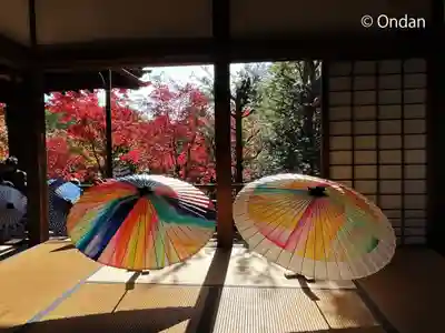 勝林寺(京都府)