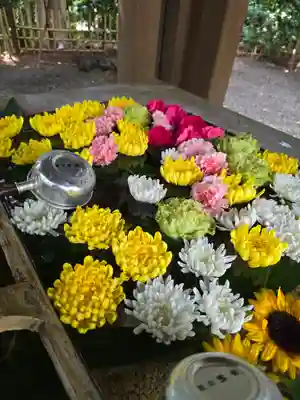 世田谷八幡宮(東京都)