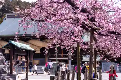 宮地嶽神社(福岡県)
