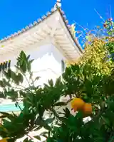 寿量山 速成寺の自然