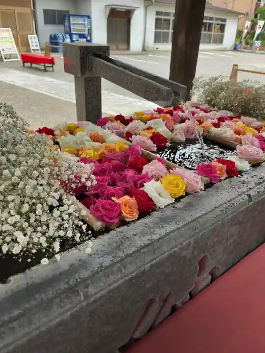 草加神社(埼玉県)