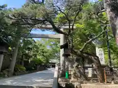 意富比神社(千葉県)