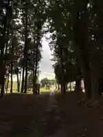 香取神社(千葉県)