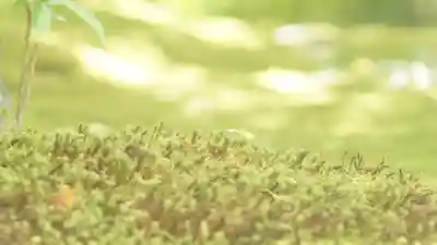 詩仙堂(丈山寺)(京都府)