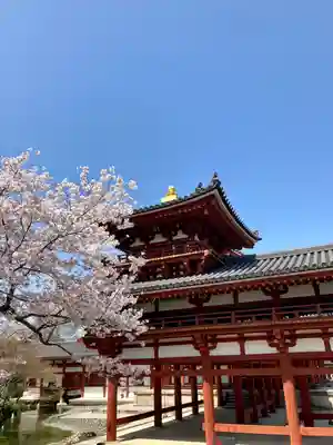 平等院(京都府)