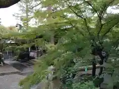 養玉院如来寺(東京都)