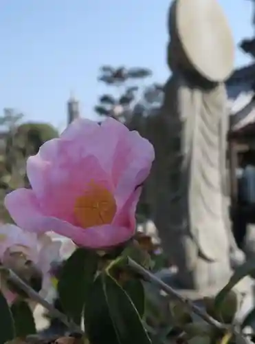 大松禅寺(京都府)
