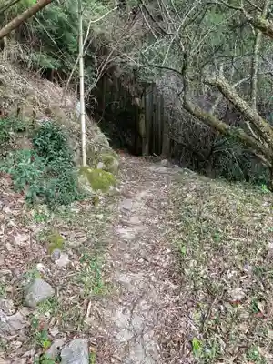 河内神社の自然