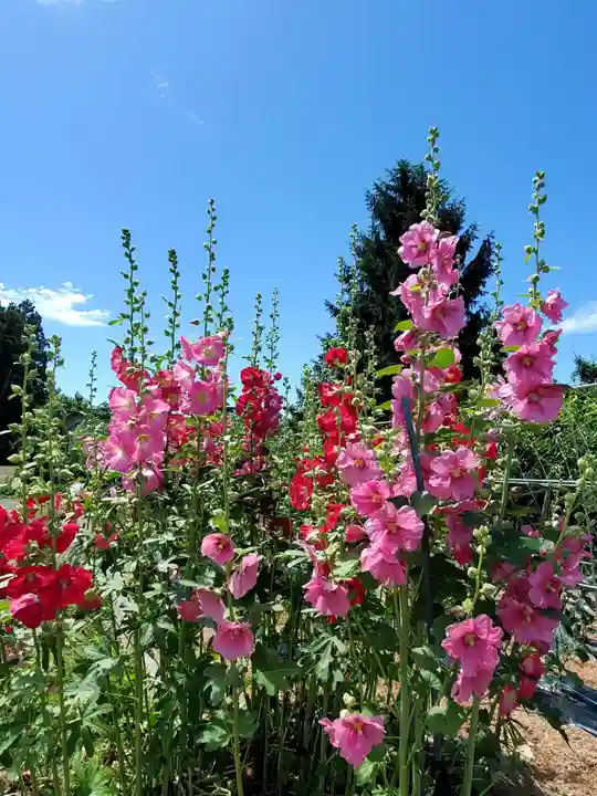 豊景神社(福島県)