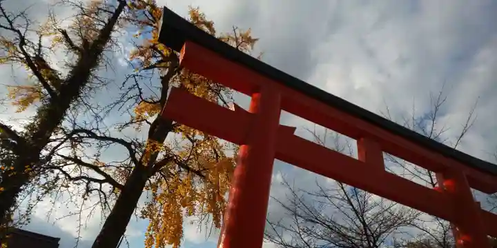 賀茂御祖神社(下鴨神社)の鳥居