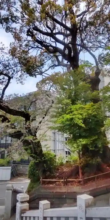 伊勢山皇大神宮(神奈川県)