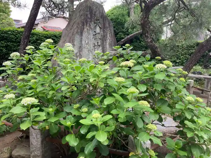 薭田神社(東京都)