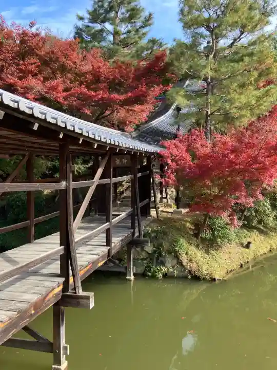 高台寺(高台寿聖禅寺・高臺寺)(京都府)