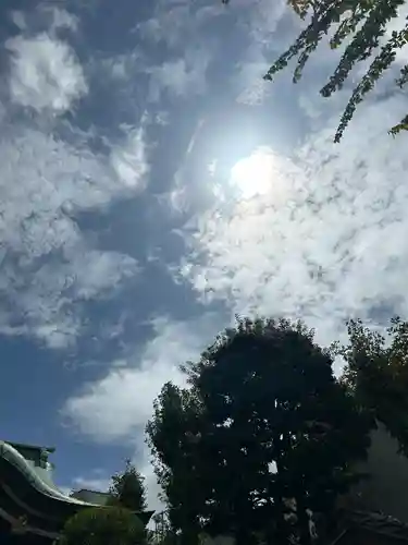 高木神社の自然