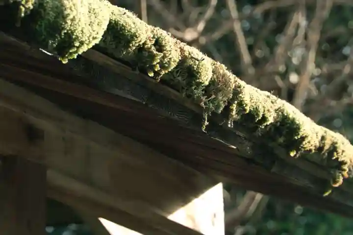 熊野大社(島根県)