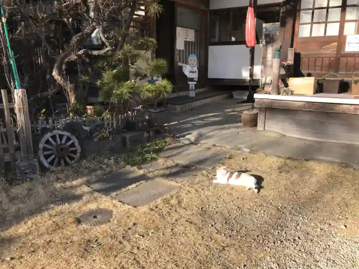 西光寺(埼玉県)