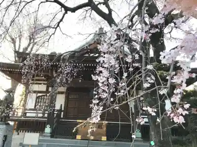 金蔵院の本殿・本堂