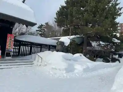 札幌護國神社の狛犬