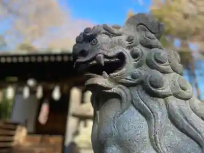 浅間神社の狛犬