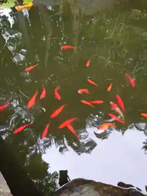 市来知神社(北海道)