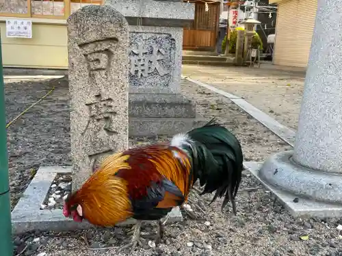 助松神社の動物