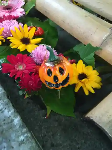 札幌護國神社の手水