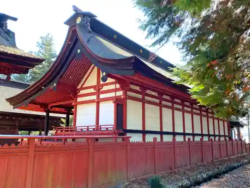 大井俣窪八幡神社の本殿