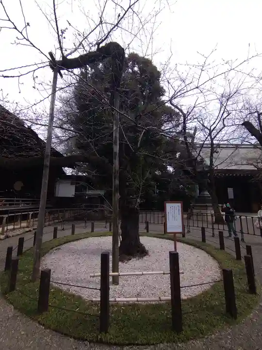 靖國神社(東京都)