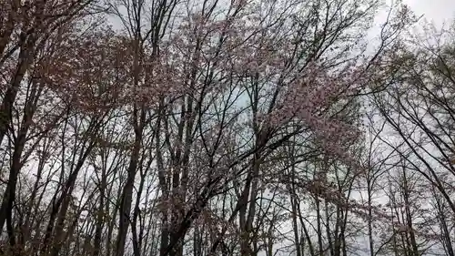 伏古神社の自然