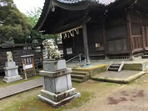 氷川神社の狛犬