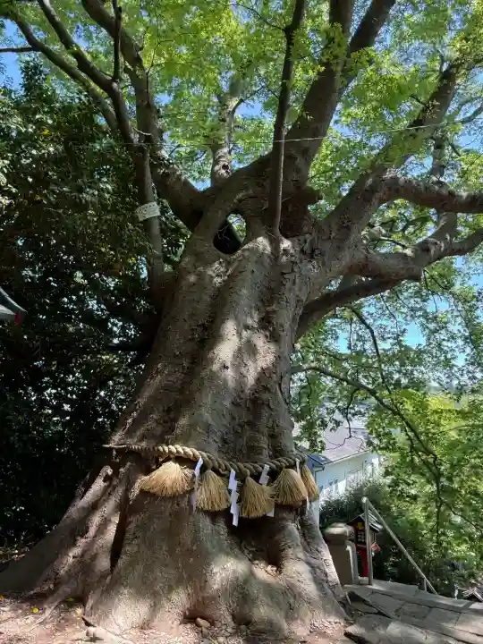 常陸第三宮 吉田神社(茨城県)
