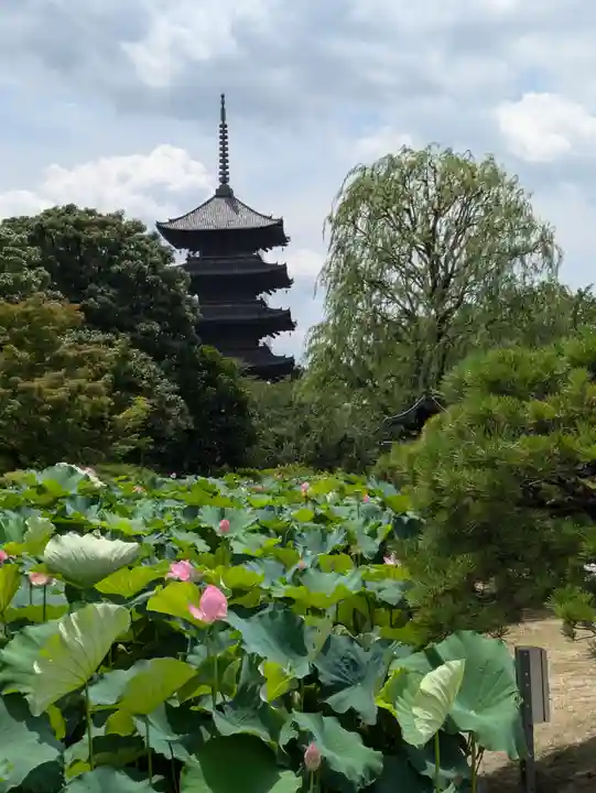 東寺(教王護国寺)(京都府)