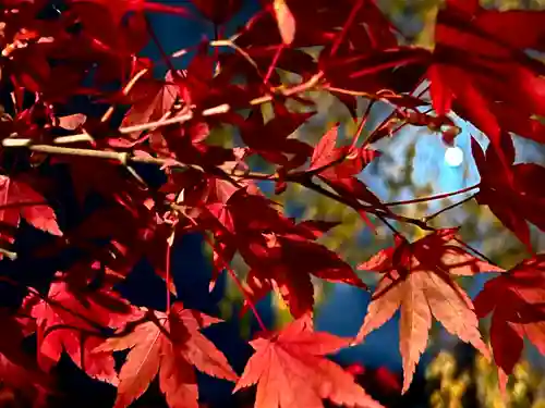 温泉寺(長野県)