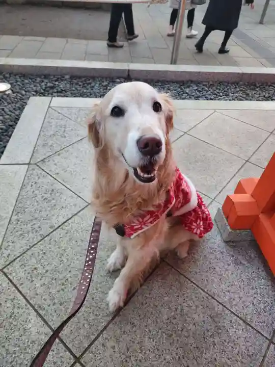 穴八幡宮(東京都)