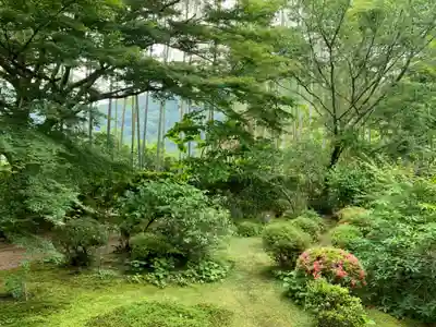 宝泉院(京都府)